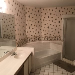 Bathroom Remodeling In Hanover Park