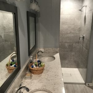 Master Bathroom Remodeling in Palatine