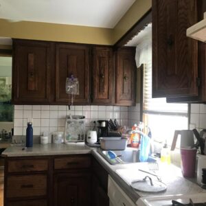 Kitchen Remodeling in Arlington Heights - Before Remodel