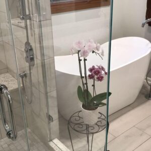 Bathroom Remodeling Iverness - freestanding tub and shower