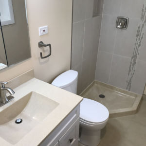 Bathroom Remodeling in Schaumburg - walk in shower