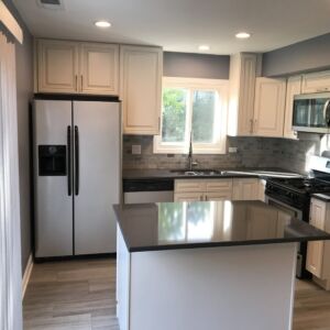 Kitchen Remodel Roselle Illinois 2019