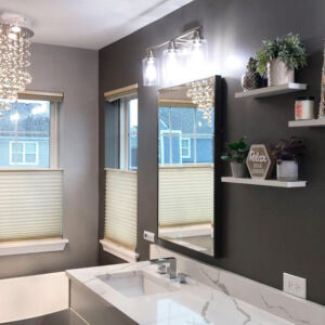 Elgin Bathroom Remodeling - Countertops, Paint, Tub