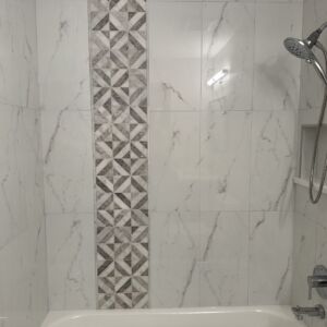 Schaumburg Shower Remodeling
